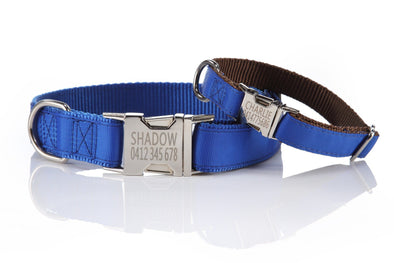 Designer Range - Personalized Dog Collar NEW - Padded & Classy – Snazzy Fido